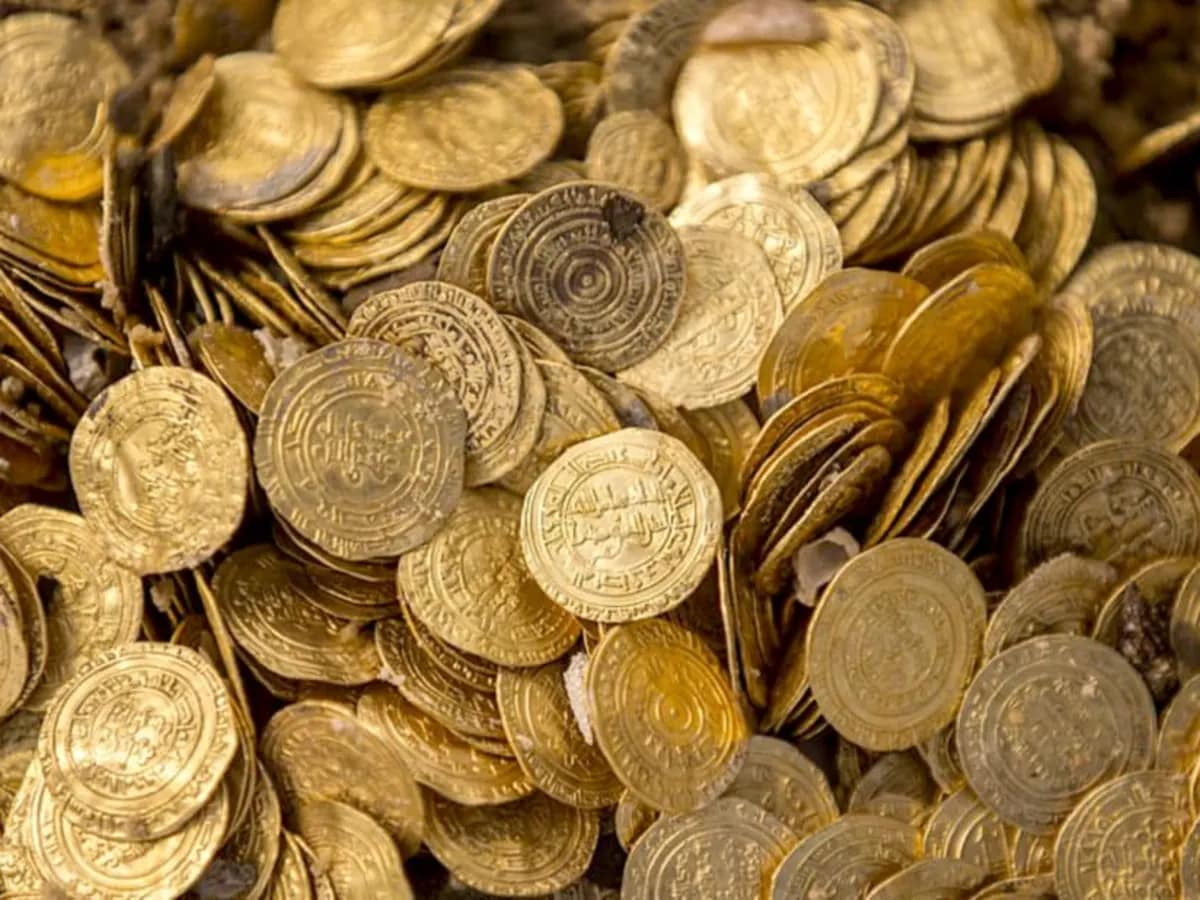 How Hidden Treasure Found in Forest:जंगल में मिला करोड़ों का रहस्य 598 सोने के सिक्कों की चौंकाने वाली कहानी