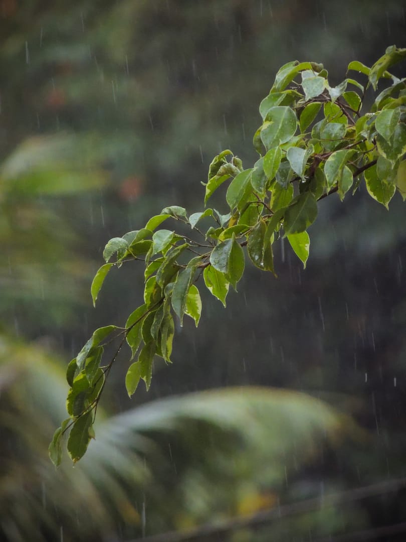 MP Weather Update: मध्य प्रदेश के 35 जिलों में आंधी-बारिश का अलर्ट, ग्वालियर-चंबल में लू का खतरा बरकरार